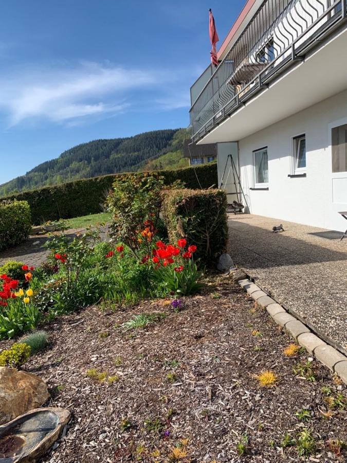 Fewo Moselblick Traben-Trarbach Esterno foto